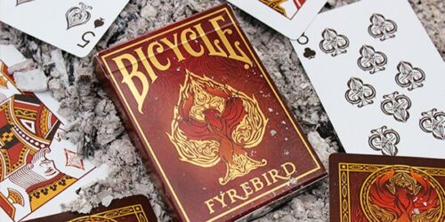 bicycle-firebirds